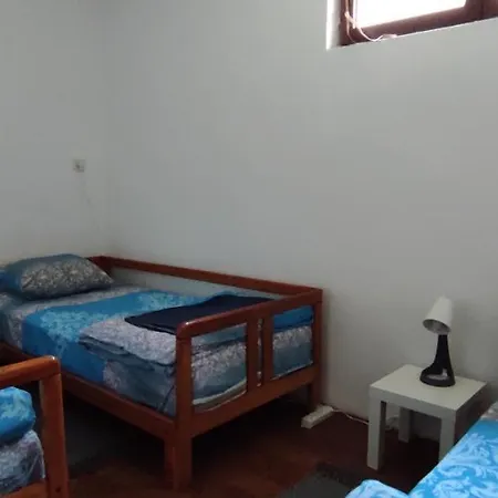 Apartment Banatski *