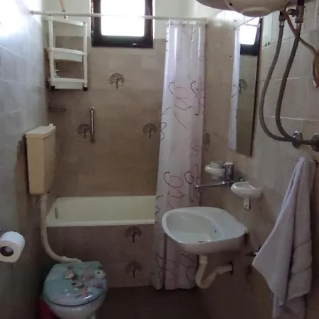 Apartment Banatski *